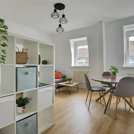 Le Hetre- Bright - Fully Equipped - Near Center * Mulhouse