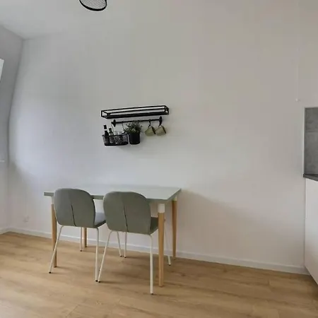 Le Hetre- Bright - Fully Equipped - Near Center Mulhouse
