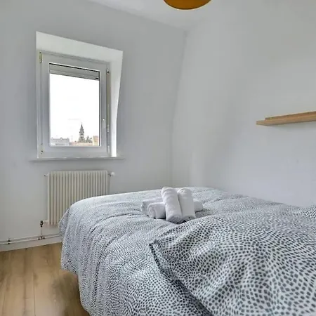 Le Hetre- Bright - Fully Equipped - Near Center Apartamento Mulhouse